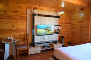 Mountain bnb hartola Uttarakhand  - Chambre