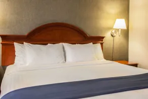 Quality Inn & Suites St Charles -West Chicago - Chambre