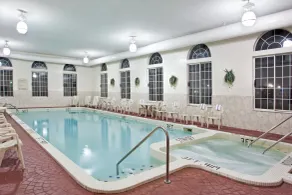 Holiday Inn Express Birch Run-Frankenmuth Area by IHG - Pool
