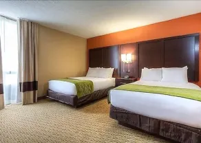 Comfort Inn & Suites Evansville Airport - Chambre