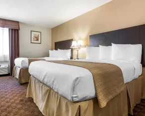 Quality Inn & Suites Coliseum - Værelse