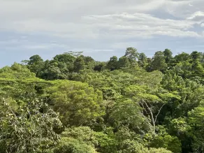 Sabah Hotel - Vue de la chambre