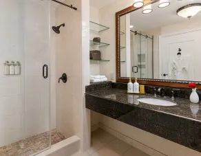 The Inn on Biltmore Estate - Bathroom