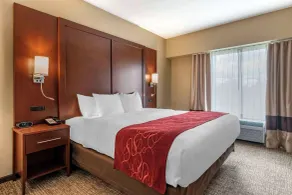 Comfort Suites Manheim - Lancaster - Chambre