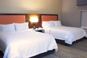 Hampton Inn Buffalo - Amherst, NY - Chambre