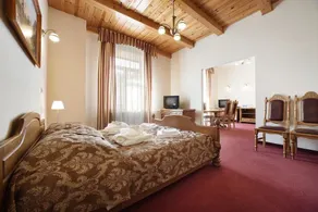 Apartamenty Renesans - Rum