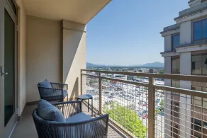 Hampton Inn & Suites Roanoke-Downtown - Udsigt fra værelset