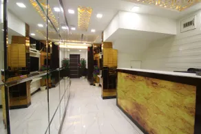 Hotel Hill Palace -Near Karol Bagh Metro Station - Receção