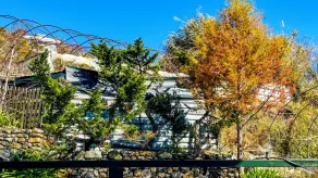 31 Backpack Guest House - Vue de la chambre