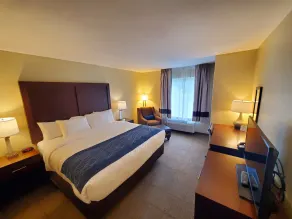 Comfort Inn & Suites Munising-Lakefront - Chambre