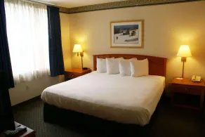 Country Inn & Suites by Radisson, Lansing, MI - Chambre
