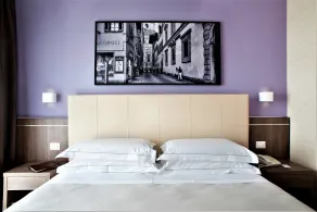 Hotel Raffaello Firenze - Camera