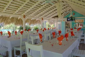 Hotel Playa Colibri - Reception