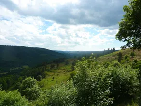La Bergerie du Plateau - Udsigt fra værelset
