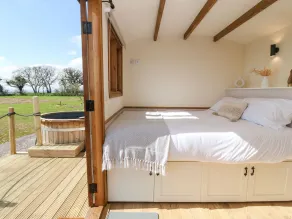 Buzzards - Room