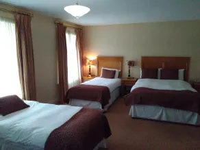 Fairhill House Hotel - Habitación
