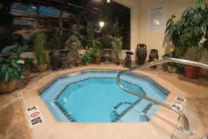 Holiday Inn Express & Suites - Sharon-Hermitage by IHG - Basseng