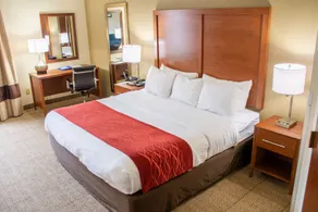 Comfort Inn Dickson - Chambre
