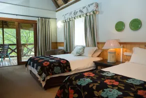ANEW Resort Ingeli Forest Kokstad - Chambre