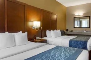 Comfort Inn & Suites Amarillo East - Chambre