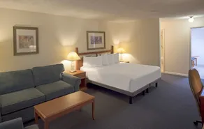 Robin Hood Inn and Suites - Chambre