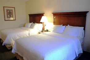 Hampton Inn & Suites Birmingham-Pelham (I-65) - Chambre