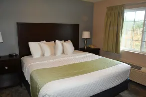 FairBridge Inn & Suites DuPont - Chambre