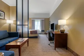 Comfort Suites Savannah North - Rom