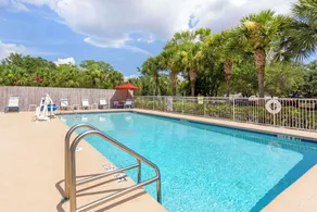 Comfort Inn St Petersburg North - Piscine