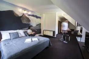 Penzion Sileo - Chambre