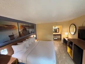 Days Inn by Wyndham St. Petersburg / Tampa Bay Area - Chambre