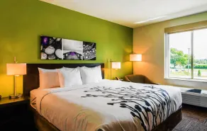 Sleep Inn & Suites Columbia I-65 - Chambre