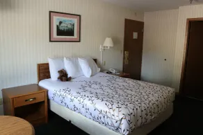 Roosevelt Inn Mount Rushmore - Chambre