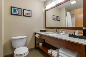 Comfort Inn Story City - I-35 near Ames - Badeværelse
