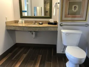 Hampton Inn & Suites Lamar - Badrum