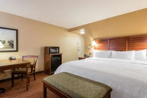 Hampton Inn & Suites Florence-North-I-95 - Chambre