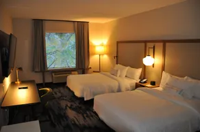 Fairfield Inn & Suites by Marriott Nashville Airport - Chambre