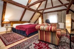 Dvur Hoffmeister - Room