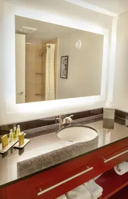 DoubleTree by Hilton Hotel Charlottesville - Room