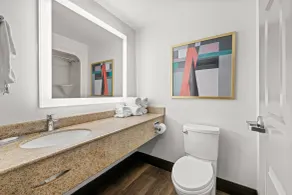 Comfort Suites Columbia at Harbison - Zimmer