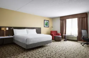 Hilton Garden Inn Providence Airport/Warwick - Chambre