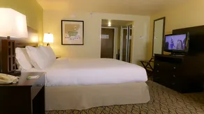 Holiday Inn - Fort Myers - Downtown Area by IHG - Chambre