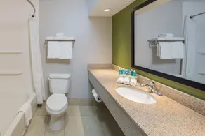 Holiday Inn Express Cedar Rapids - Collins Road by IHG - Salle de bain