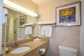 Charles River Inn - Salle de bain