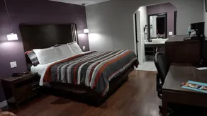 Muir Lodge Motel - Vue de la chambre