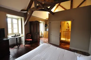 L'Hotel de Panette, Un exceptionnel château en coeur de ville - Chambre