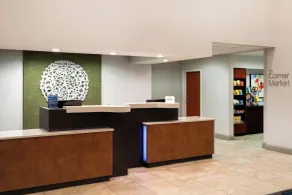 Fairfield Inn & Suites by Marriott Denver Aurora/Parker - Réception