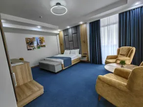 Shymkent Park Hotel - Room