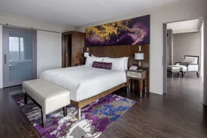 Baton Rouge Marriott - Chambre