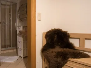 Alpenjuwel Alpendorf - Bathroom